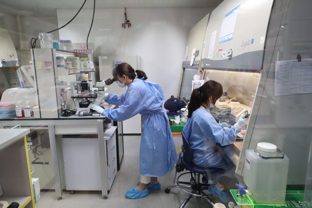 한국파스퇴르연구소의 ‘생물안전(BL) 2등급’ 실험실에서 BL3에서 사용할 바이러스에 감염시킬 세포에 약물 처리를 하고 있다. 성남=안철민 기자 acm08@donga.com·한국파스퇴르연구소 제공