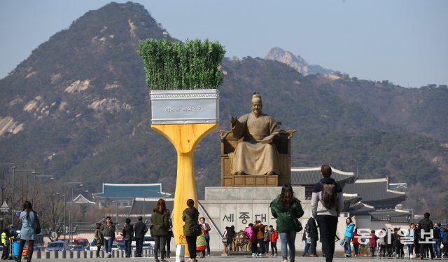 ‘세상을 녹색으로’ 2015년 식목일을 앞두고 광화문 광장에 만들었던 조형물. 양회성 기자