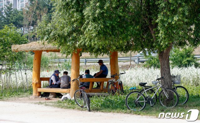 4일 서울 중랑천에서 시민들이 그늘에 앉아 휴식을 취하고 있다. 2020.6.4/뉴스1 © News1