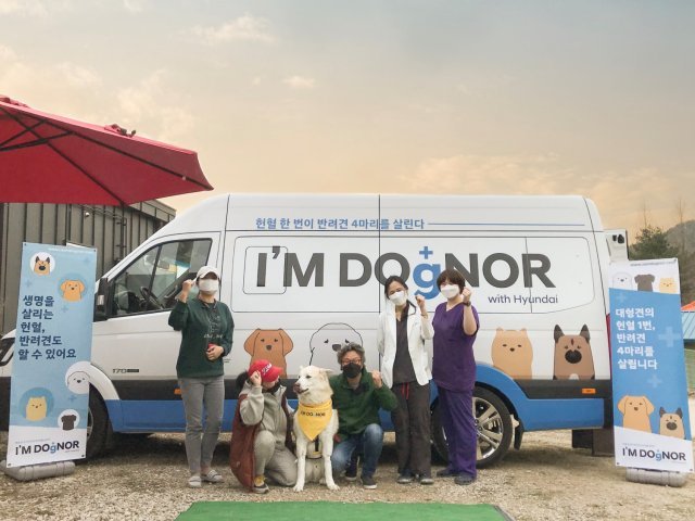 “고마워 헌혈견들아” 네슬레 퓨리나가 고마운 헌혈견들을 위해 ‘아임 도그너(I‘m DOgNOR)’ 캠페인을 후원한다. 
사진제공 l 네슬레 퓨리나