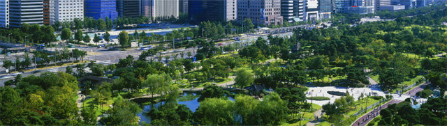 서울 영등포구 여의도공원 전경. 도시에서도 숲은 공기를 정화하는 허파 역할을 한다. 산림청 제공