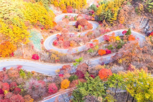 충북 단양군 보발재 라이딩. [단양군 제공]