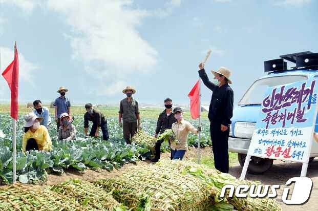 (평양 노동신문=뉴스1) = 북한 노동당 기관지 노동신문은 15일 “인간쓰레기들을 죽탕쳐버릴 멸적의 의미로 심장을 끓이며 생산을 다그치고 있다“라며 농업 현장에서 탈북자를 규탄하는 노동자들의 모습을 게재했다. [국내에서만 사용가능. 재배포 금지. DB 금지. For Use Only in the Republic of Korea. Redistribution Prohibited] rodongphoto@news1.kr