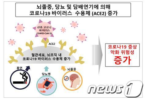 (질병관리본부 국립보건연구원 제공)© 뉴스1