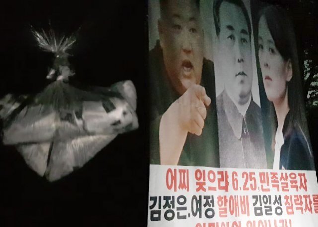 자유북한운동연합 영상 캡처