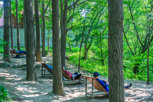 성북구 개운산 산마루에 조성한 북까페. 숲속 바람을 느끼며 쉬거나 책을 읽을 수 있도록 평상 데이체어를 만들어놨다. 사진제공|서울관광재단