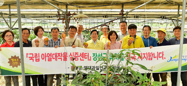 지난달 전남 장성군 남면 애플망고 농장에서 주민들이 올해 처음 수확한 애플망고를 들고 국립 아열대작물 실증센터 장성 유치를 기원했다. 장성군 제공