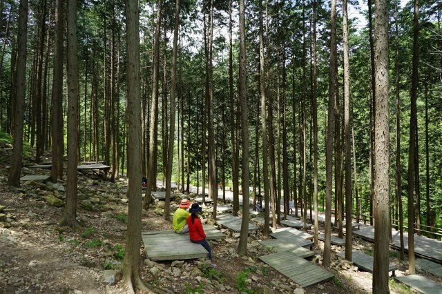 공기마을 편백나무 숲은 1976년부터 마을 주민들이 산자락에 10만 그루의 편백나무를 심어 기른 곳이다.