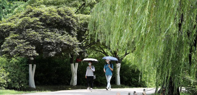 양산을 쓴 채 산책을 즐기는 시민들. 뉴스1