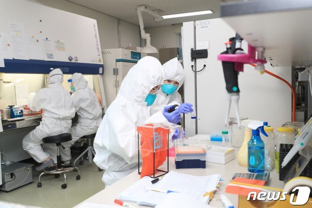 코로나19 진단검사 모습.(뉴스1 DB) © 뉴스1