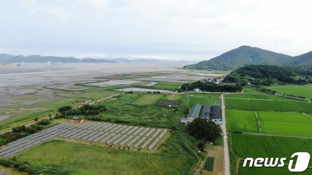 순천만습지 가금농장 주변.(순천시 제공)/뉴스1 © News1