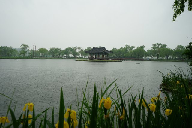 궁남지는 삼국사기에 따르면 백제 무왕 때 연못을 파고 약 8km 정도 떨어진 곳에서 물을 끌어들여 그 한가운데 섬을 만들었다고 한다. 현재 연못은 1960년대 복원했다.