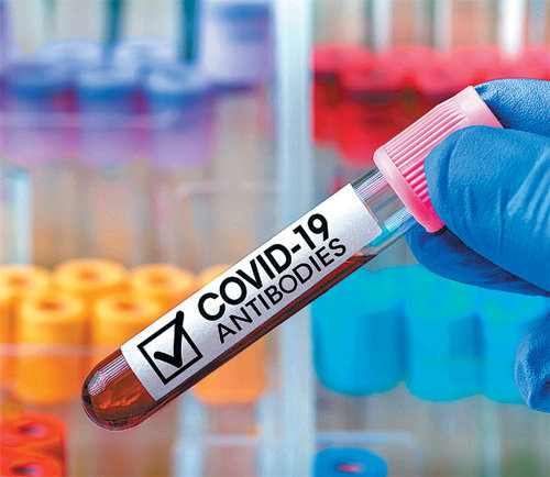 코로나19 항체검사를 위해 채취한 혈액. 사진 출처 Shutterstock