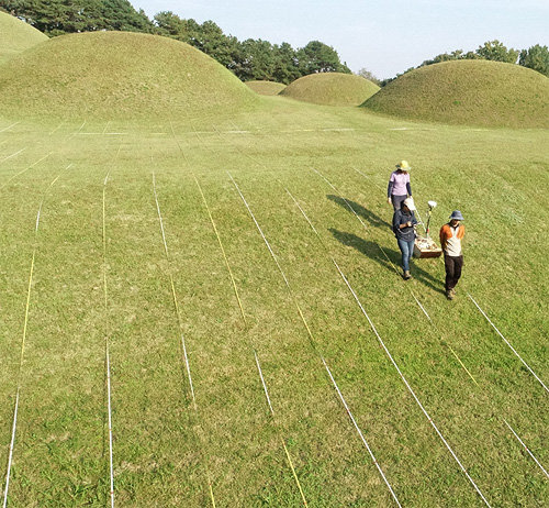 지난해 충남 부여 능산리 고분군에 대한 지하물리탐사 장면. 문화재청 제공