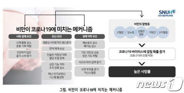 비만이 코로나19에 미치는 메커니즘. (분당서울대병원 제공)© News1