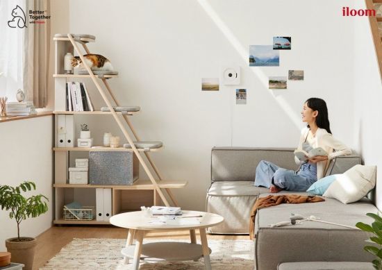 일룸 반려동물 가구 시리즈 캐스터네츠의 ‘책장 캣타워’.
사진제공 l 일룸