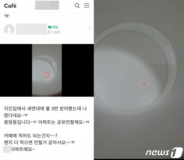 19일 청주지역 한 맘카페에 수돗물 유충을 발견했다는 글이 잇따라 게시돼 주민이 불안감을 호소하고 있다. 사진은 수돗물 유충을 발견했다는 맘카페 게시물.(해당 게시글 갈무리)2020.7.20