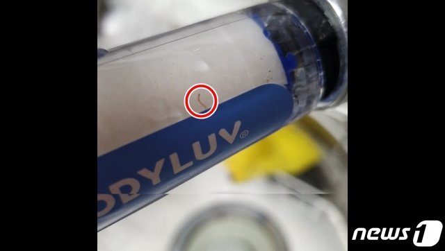 19일 청주지역 한 맘카페에 수돗물 유충을 발견했다는 글이 잇따라 게시돼 주민이 불안감을 호소하고 있다. 사진은 수돗물 유충을 발견했다는 맘카페 게시물.(해당 게시글 갈무리)2020.7.20/뉴스© 뉴스1