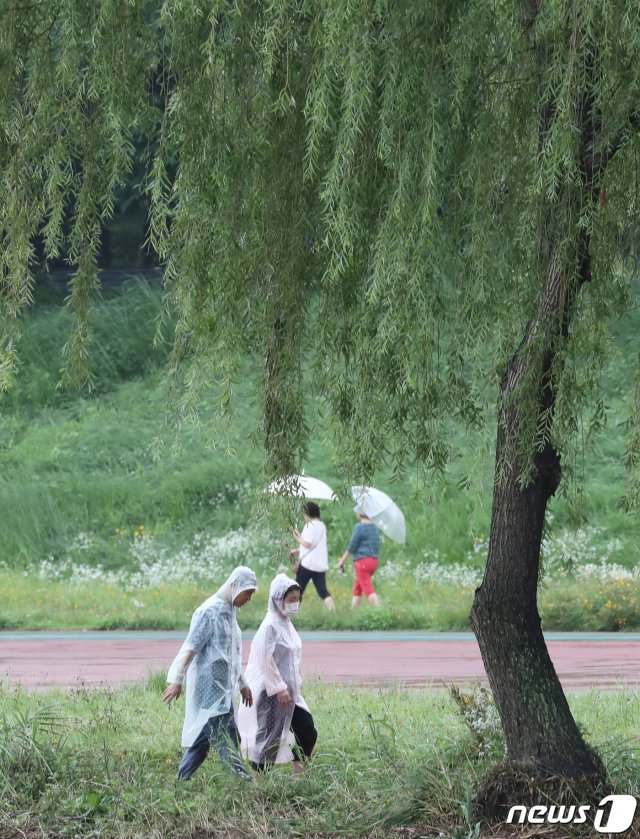 전국적으로 비가 내린 20일 오후 대전 서구 유등천 일원에서 한 시민이 우산을 쓰고 산책을 하고 있다. 2020.7.20 © News1