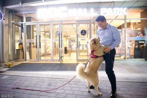 반려동물에 대해 각별한 애정을 지닌 것으로 알려진 송영길 국회의원이 자신의 반려견 시시와 정답게 인사를 나누고 있다. 송 의원은 한국애견협회 고문을 맡고 있기도 하다. 사진출처｜송영길 의원 페이스북