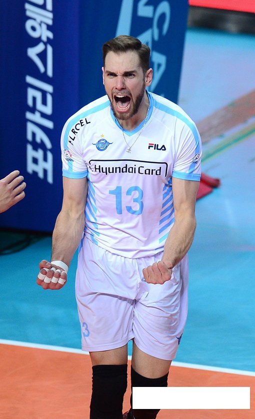 대한항공 비예나. 스포츠동아DB