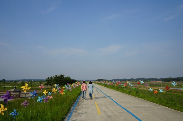 성당포구는 수 만 개의 형형색색 바람개비가 5km 넘게 이어지는 바람개비길로 주목받고 있다.