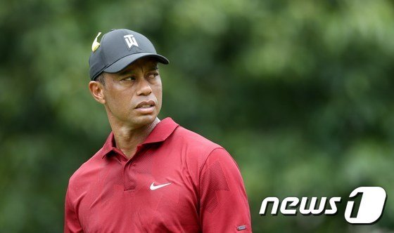 타이거 우즈가 월드골프챔피언십-페덱스 세인트 주드 인비테이셔널에 불참한다. © 뉴스1
