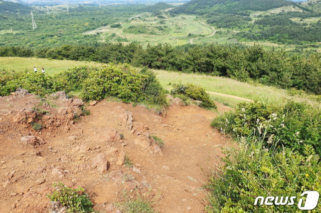 제주 서귀포시 표선면 성읍리에 있는 백약이오름 정상 봉우리가 송이층을 드러낸 채 훼손돼 있다.(제주도 제공)