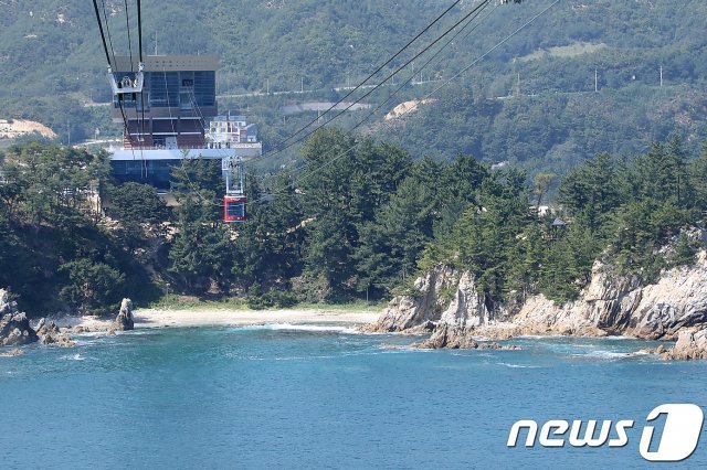 삼척 해상 케이블카. (뉴스1 DB)
