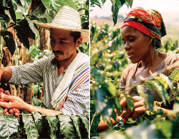네스프레소는 ‘AAA 지속가능한 품질TM 프로그램’을 통해 좋은 커피를 장기적, 안정적으로 생산하며, 농부의 삶을 개선하는 노력을 하고 있다.