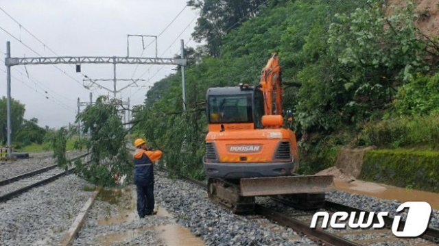 한국철도 관계자들이 2일 오전 집중호우에 의한 피해개소(충북선 제천조차장역 부근)에서 장비를 동원해 복구작업을 진행하고 있다. 한국철도는 손병석 사장과 지역 본부장, 2급 이상 전 간부 등 전국에서 400여 명이 피해 상황 파악과 고객 안내, 열차 운행 조정과 선로복구 등을 위해 비상 근무와 긴급 재해대책회의를 개최하는 등 재해 복구에 총력을 기울이고 있다. (한국철도 제공) 2020.8.2/뉴스1