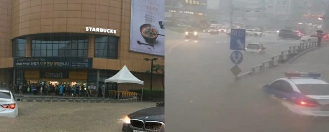 출처= 커뮤니티 게시판