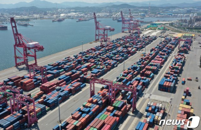 울산신항컨테이너터미널에 수출·입을 기다리는 컨테이너들이 가득 차 있는 모습. 2019.8.1/뉴스1 © News1
