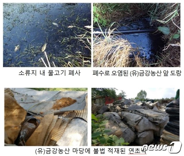 장점마을 - 물고기 폐사와 오염된 도랑, 불법 적재된 연초박. 환경부 실태조사 자료 © News1