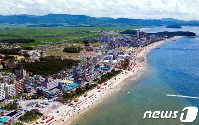 대천해수욕장 전경© News1