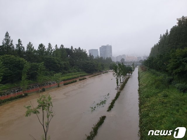11일 아침 불광천의 모습. 전날의 모습과 비교하기 어려울 정도로 수위가 상승했다. /© News1