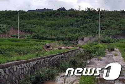 광주 북구 장등동 한 저수지 인근 하천 제방 일부가 무너진 모습.(광주북구 제공) © 뉴스1