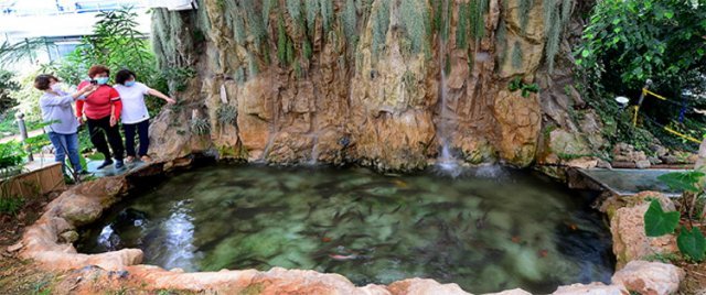 충북도농업기술원이 환경친화적인 새 농업기술인 ‘아쿠아포닉스’를 이용한 재배법을 화훼 작목에 접목시켜 연구하고 있다. 충북도농업기술원 제공
