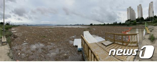 목포 나불도를 뒤덮고 있는 해양 쓰레기.(목포시 제공)2020.8.13/뉴스1 © News1
