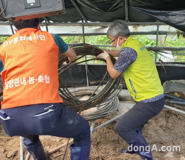 13일 전남 담양에 위치한 피해 농가를 찾아 장철훈 농업경제대표이사가 피해 복구를 위해 일손돕기를 하고 있다.