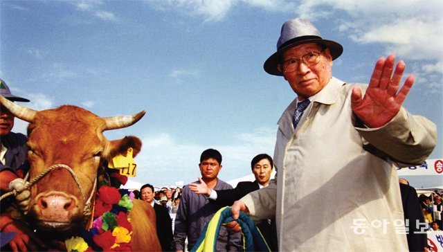 1998년 6월 소 500마리를 싣고 북한으로 향하는 정주영 현대그룹 명예회장. 이 소들을 받지 말라는 지시를 어겼다는 죄로 서성원 북한 중앙수의방역소장이 억울한 죽음을 당했다. 동아일보DB