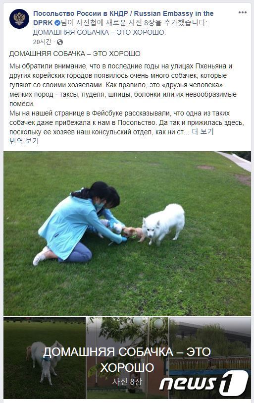 북한 주재 러시아대사관이 19일 페이스북에 ‘최근 북한에서 애완견 사육이 금지됐다’는 일부 언론보도를 부인하는 내용의 글과 사진을 게시했다. (북한 주재 러시아대사관 페이스북) © 뉴스1