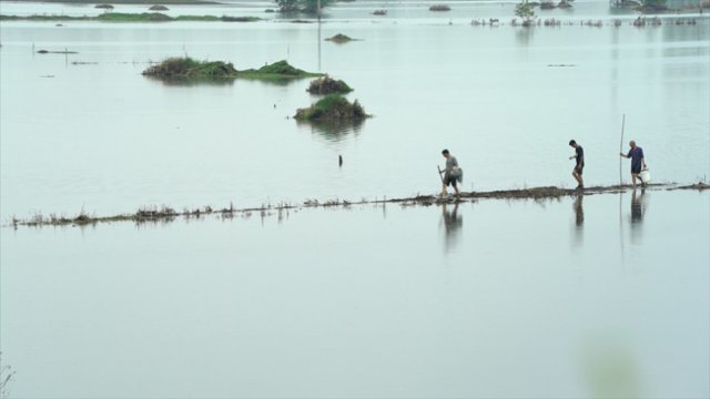 중국 남부지역에서 농부들이 물에 잠긴 경작지를 둘러보고 있다. [CGTN]