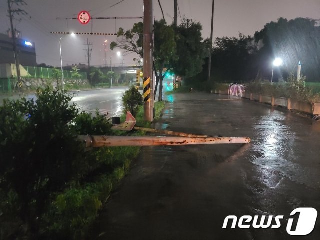 26일 오후 8호 태풍 ‘바비’가 몰고 온 강풍에 전남 여수시 흥국사 입구의 신호등이 도로로 쓰러져 있다.(독자 제공)2020.8.27/뉴스1 © News1