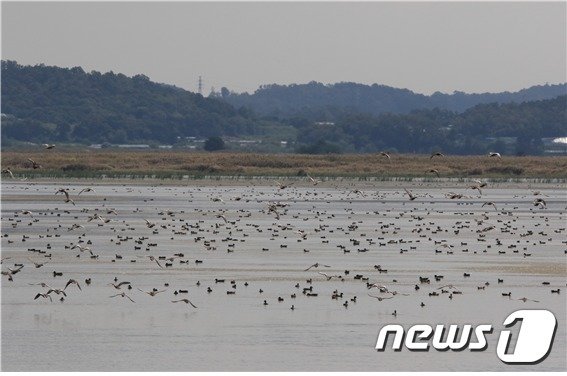 시화호 (자료사진)© News1