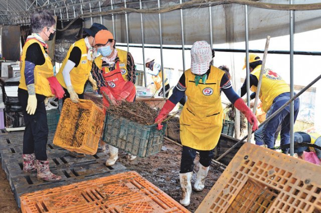 적십자 봉사원들이 피해 농가에서 수해폐기물을 정리하고 있다. 대한적십자사 제공