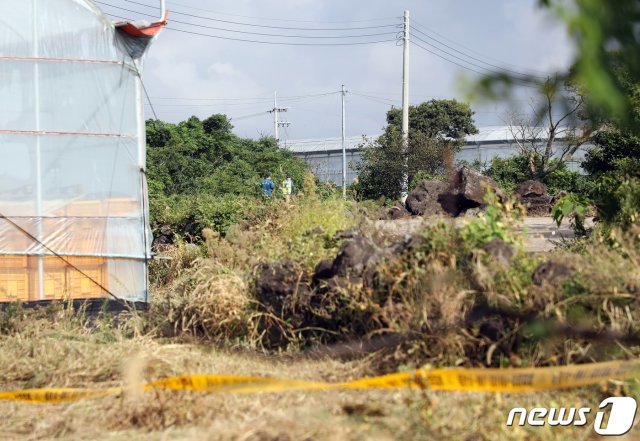 31일 오후 12시 제주시 도두1동 제주국제공항 인근 이면도로 옆 호박밭에서 30대여성 변사체가 발견돼 경찰이 수사하고 있다.2020.8.31/뉴스1 © News1