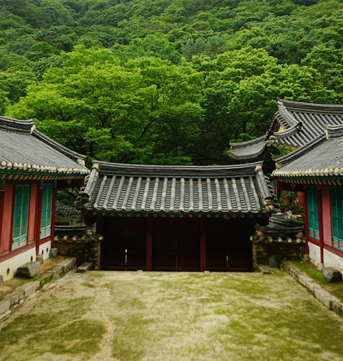 계룡산 동쪽에 위치한 비구니 사찰인 동학사에는 독특하게 충신들의 위패를 모신 사당이 있다. 동학사까지 이어지는 1.5km의 숲길은 산책하기 좋다.