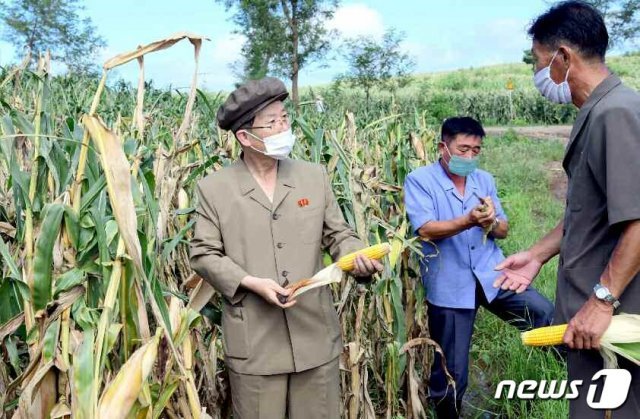 북한 노동당 중앙위원회 부위원장들이 지난달 30일과 31일 태풍 피해를 입은 황해남도 일대를 직접 찾아 복구 사업을 지도했다고 당 기관지 노동신문은 1일 밝혔다. 수해 복구에 참여한 간부로는 김재룡·리일환·최휘·박태덕·김영철·김형준 당 부위원장 등이 있다. 사진은 김재룡 당 중앙위 부위원장이 피해 복구 사업을 지도하는 모습. (평양 노동신문=뉴스1)