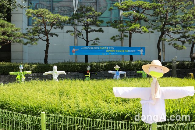 농협중앙회 농업박물관은 8일 곡식이 무르익어가는 절기인 백로를 맞아 땀 흘려 지은 농사를 잘 지켜달라는 염원을 담은 허수아비를 서울시 중구 농업박물관 야외체험장에 설치했다.